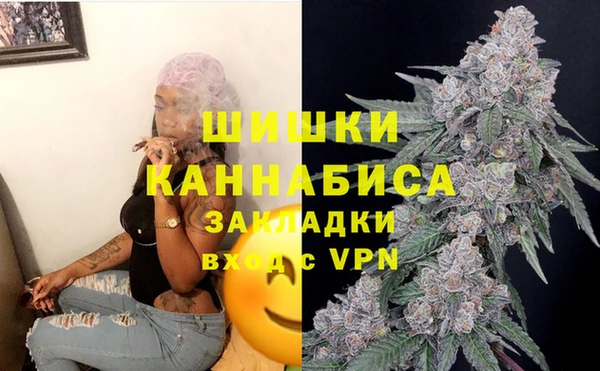 амф Алзамай
