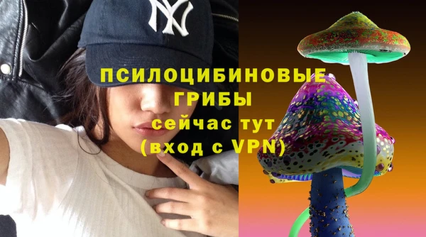 амф Алзамай