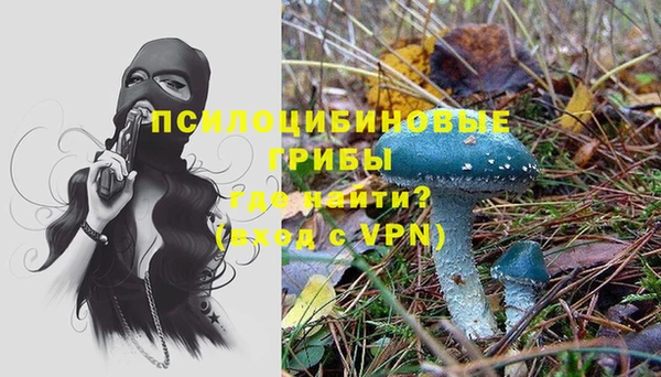меф Алексин