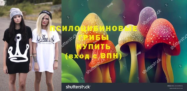 меф Алексин