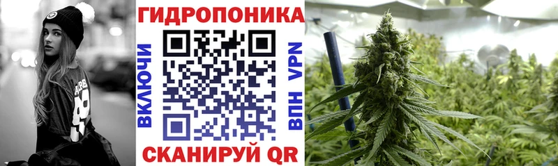 Шишки марихуана семена  как найти наркотики  Печоры 